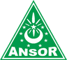 GP Ansor Logo